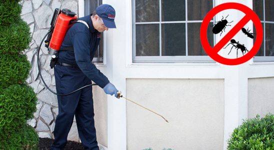 Mazıdağı Kemirgen İlaçlama böcek ilaçlama ve haşere kontrolü — ilaclama-tr.com
